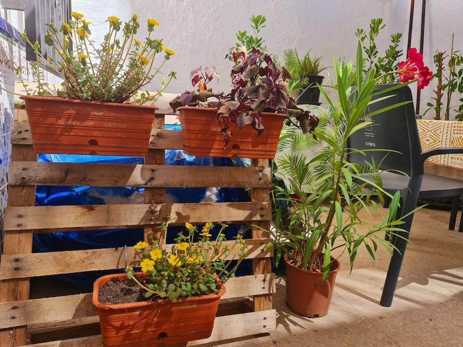 Estancia De Ensueno Y Relax Parking Gratuito Granada Eksteriør billede
